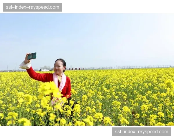 油菜花海中冲线瞬间,骑手张开双臂拥抱金色花海 油菜花海中冲线瞬间,骑手张开双臂拥抱金色花海